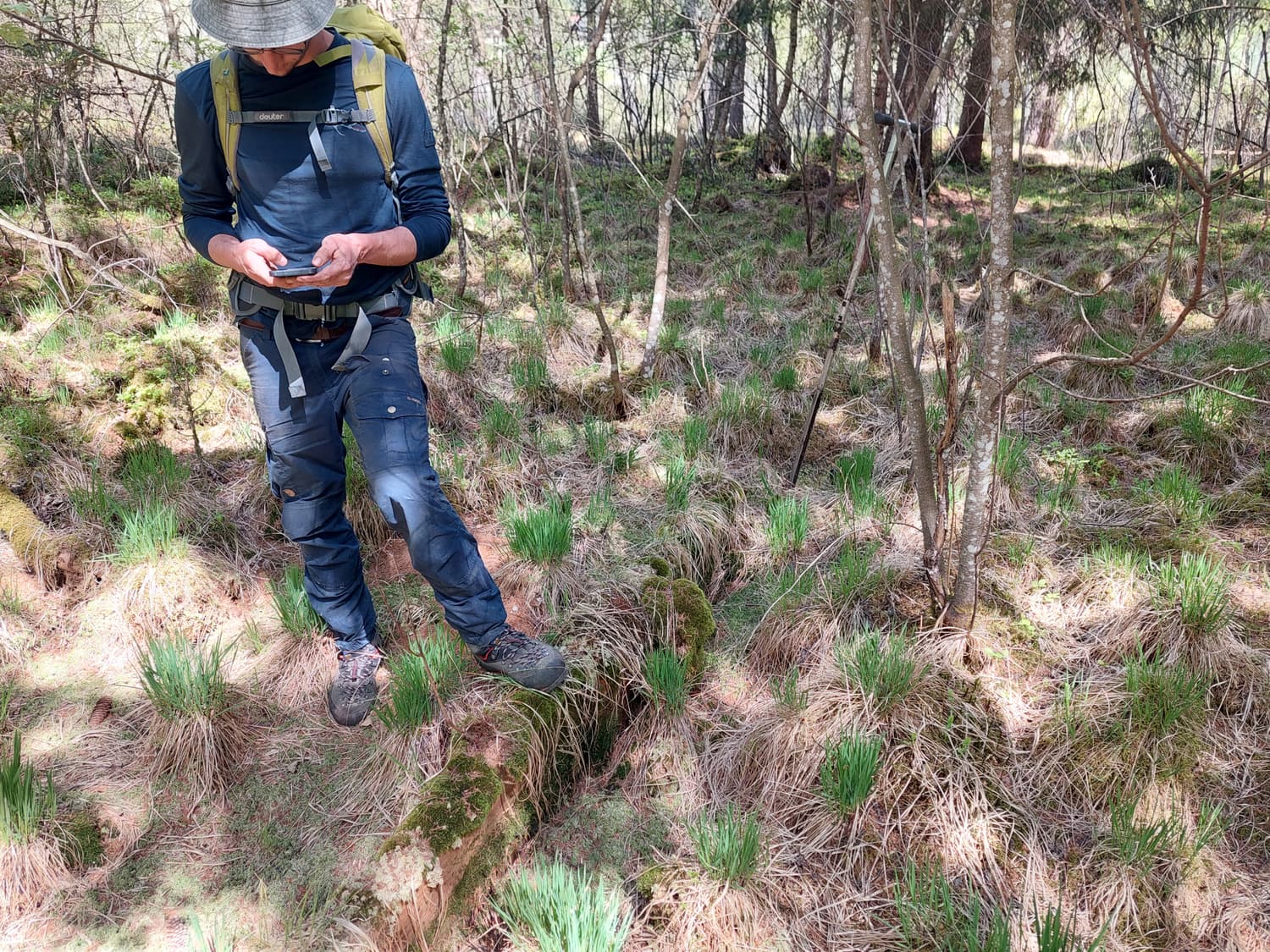 Kartierung im Moorwald: Erhebung der Vegetation mit mobilem GIS-Gerät