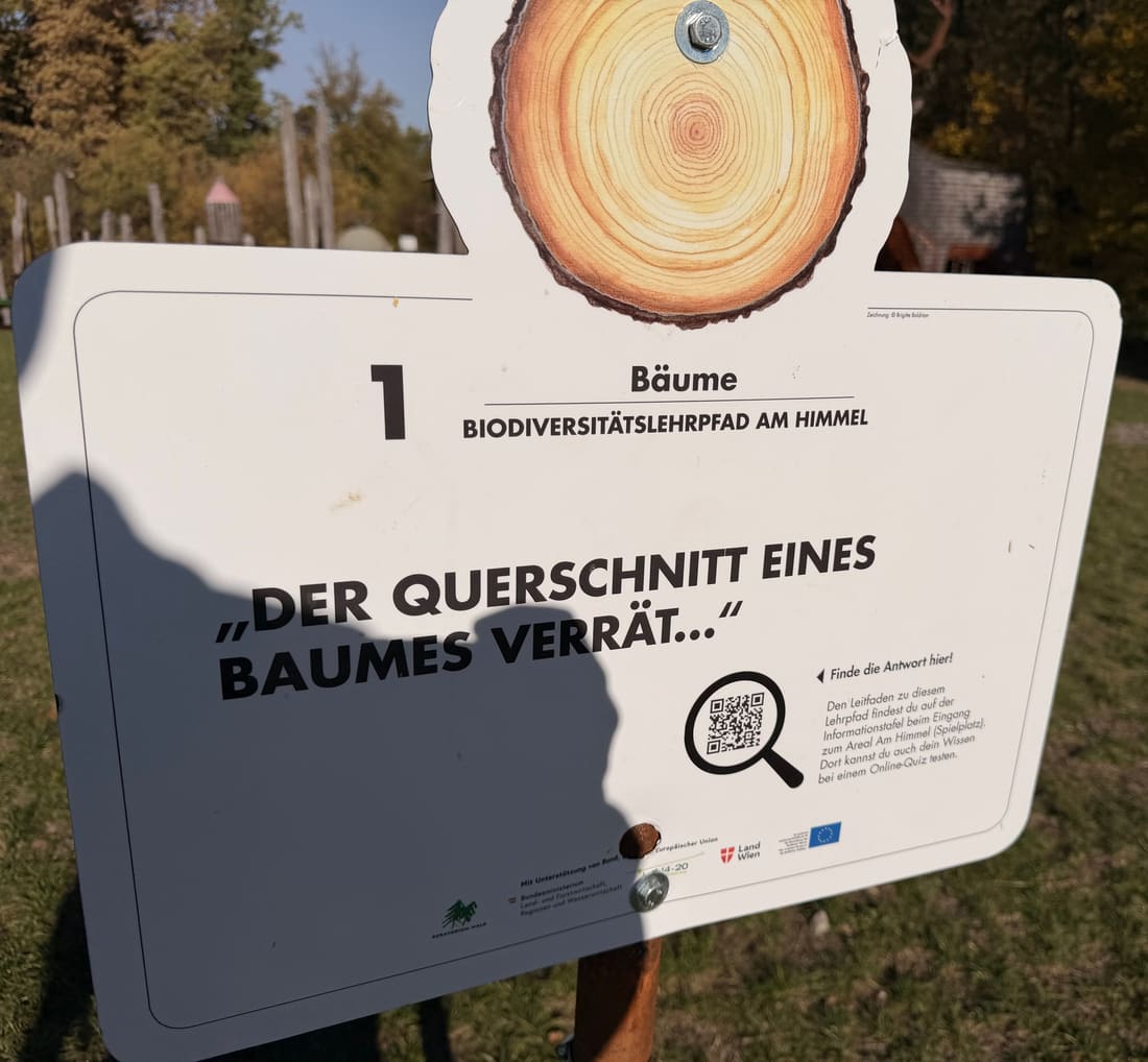 Schild Station 1: Der Querschnitt eines Baumes verrät …