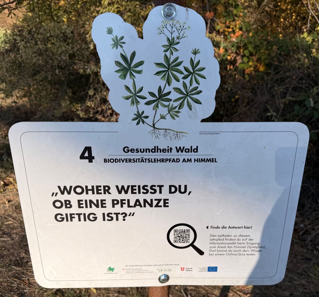 Schild Station 4: Woher weißt du, ob eine Pflanze giftig ist?