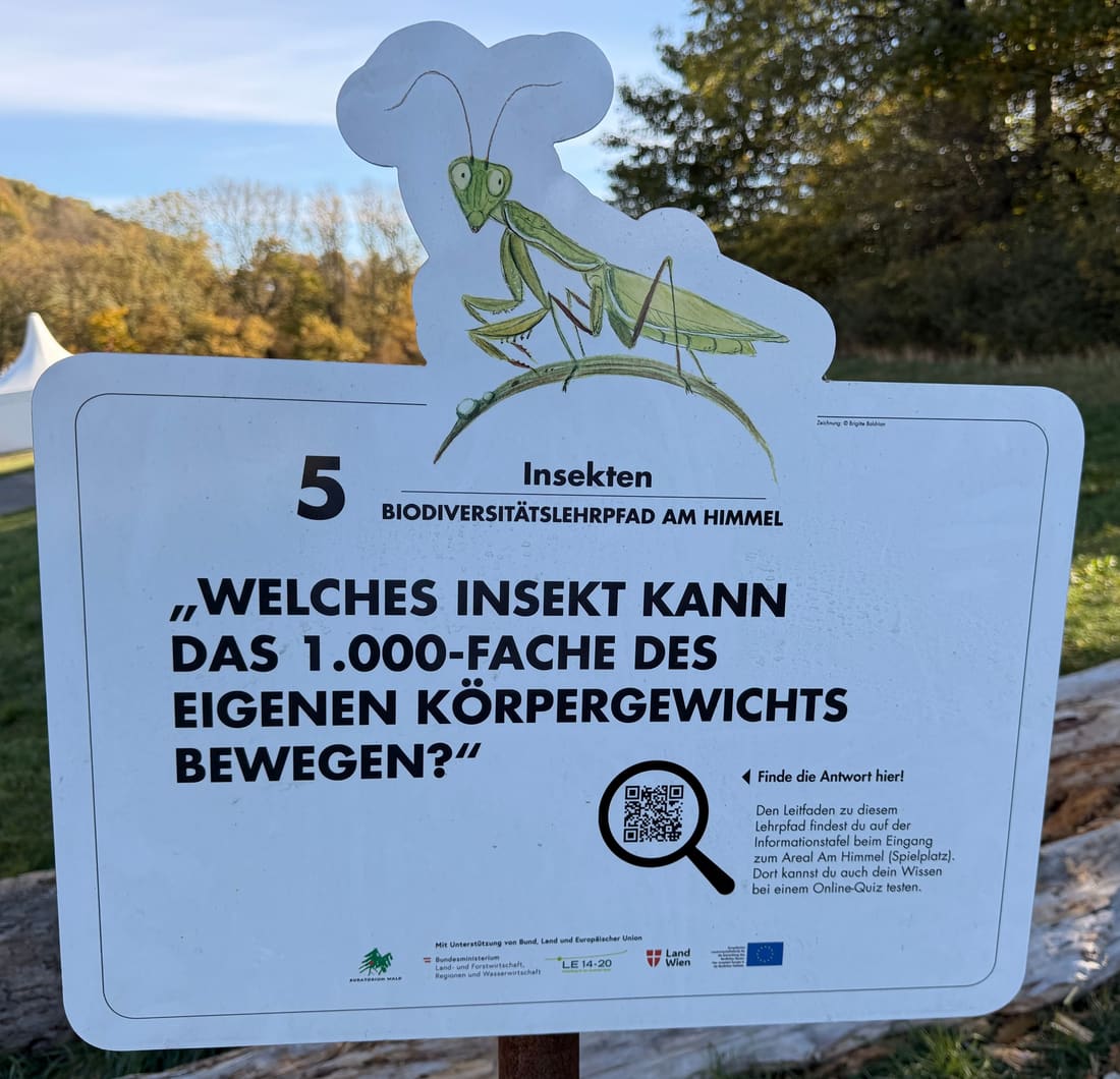Schild Station 5: Welches Insekt kann das 1.000-Fache des eigenen Körpergewichts bewegen?