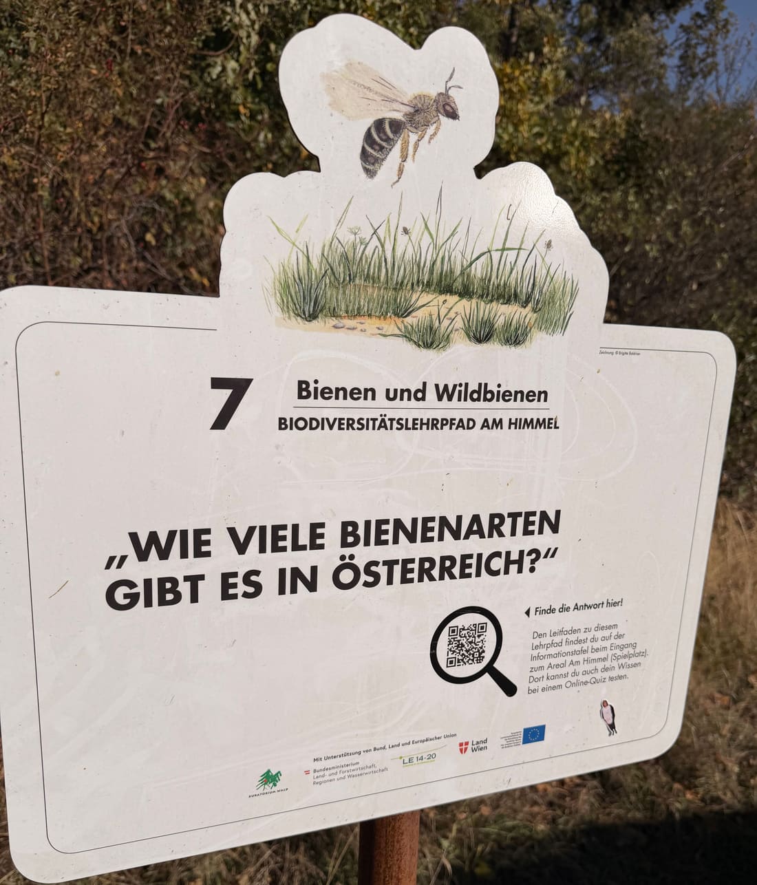 Schild Station 7: Wie viele Bienenarten gibt es in Österreich?